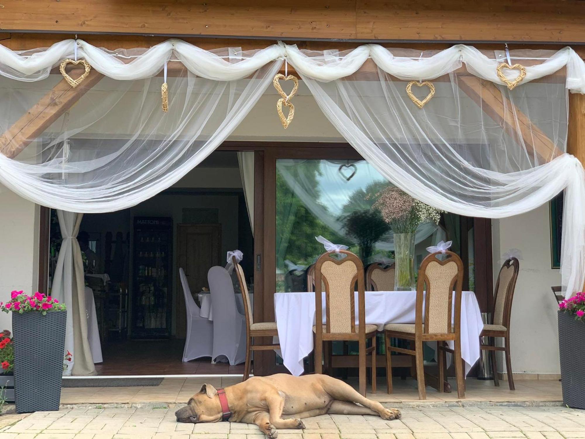 Hotel Soukromá rezidence Pohádková usedlost Lovětín Esterno foto